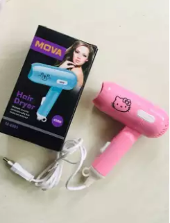 Product details of Mini Hair Dryer-450W