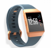 Fitbit Ionic Fitness Watch Slate Blue & Burnt Orange