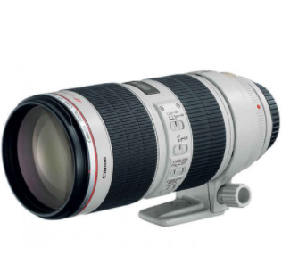 Canon EF 70-200mm f/2.8L IS II USM Telephoto Zoom Lens