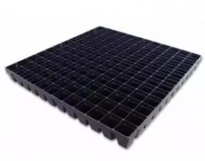 Seed Stone Tray_Hard,(Sustainable),Holes-144,(Indian)-1 piece