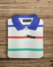 Trendz Half Sleeve Polo T-shirt for Men ZH-541 109927