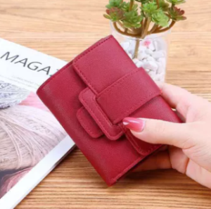 Wallets for Women - Coin Pouches Stylish and Fashionable Ladies Hand Bag Wallet for Girls and Women/